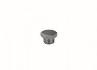 A016 BSPTM Plug